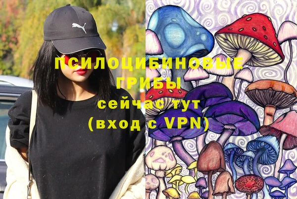 mix Горняк