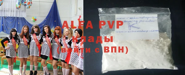спайс Гусев