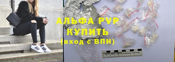 индика Сосновый Бор