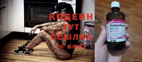 индика Сосновый Бор