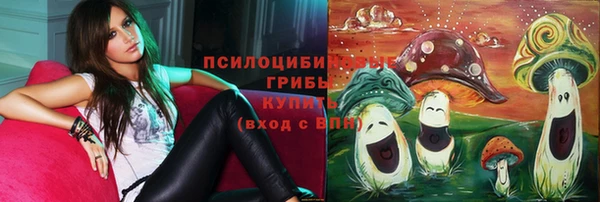 mix Горняк
